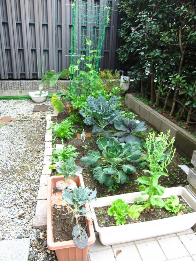 Apartament Kyo-No-Sato 京の里 Kioto Zewnętrze zdjęcie